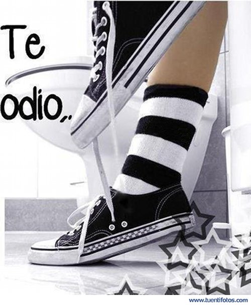 Te Odio