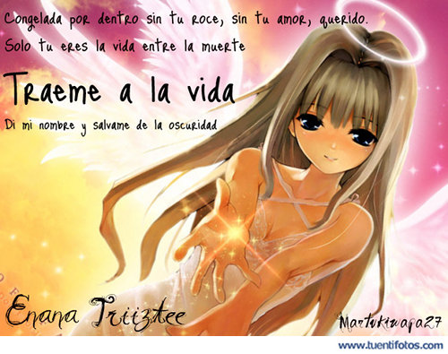 Amor de Traeme A La Vida