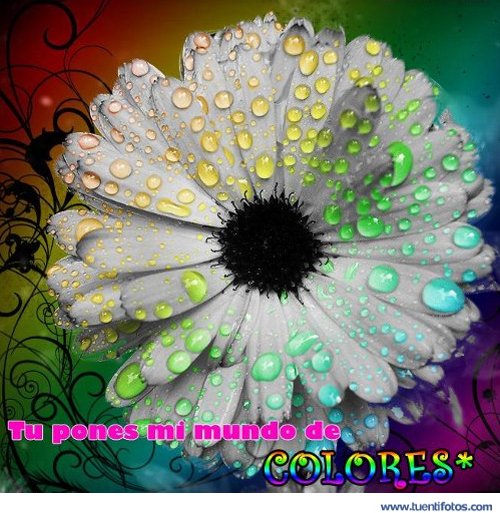 Amistad de Tu POnes el Mundo de Colores